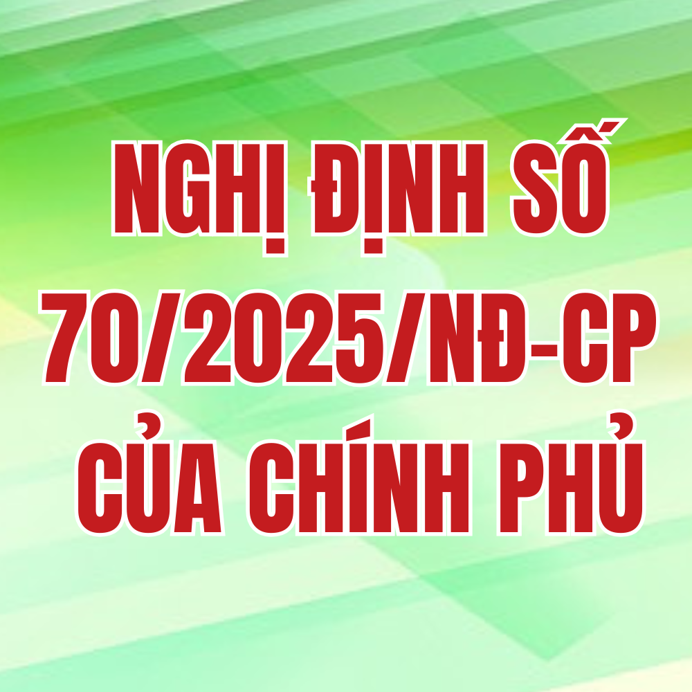 Nghị định số 70/2025/NĐ-CP của Chính phủ: Sửa đổi, bổ sung một số điều của Nghị định số 123/2020/NĐ-CP ngày 19 tháng 10 năm 2020